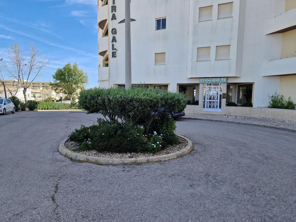 Apartamento T2 Palmeira Gale-Praia Da Gale Guia  Eksteriør billede